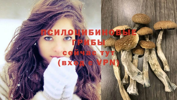 СК Магас